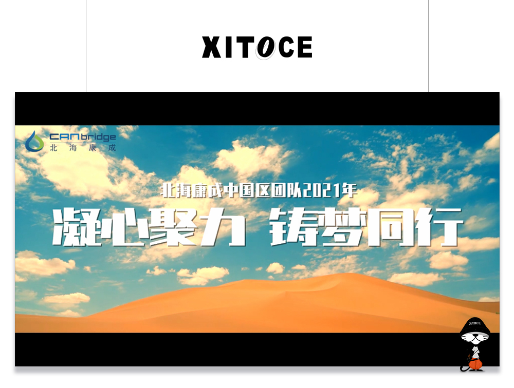XITOCE 弦拓文化(huà)&北海康成 品牌精神宣傳視(shì)頻